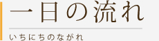 一日の流れ